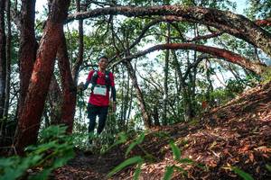 BIB: 
                            <button type="button" onclick="openModal(26345536)" class="btn btn-primary btn-sm float-right btn-popup" data-toggle="modal" data-target=".modal-high-quality">
                        <i class="fas fa-shopping-cart"></i> Add to Cart
                    </button>
                                            <button type="button" onclick="isThisMe(26345536, true)" class="btn btn-success btn-sm float-right btn-popup btn-isme hidden" data-toggle="tooltip" data-placement="bottom" title="นี่คือรูปของคุณใช่ไหม คลิกที่นี่เพื่อเอาเข้าอัลบั้ม">
                        <i class="fas fa-plus"></i> Add to album
                    </button>
                    <button type="button" onclick="isThisMe(26345536, false)" class="btn btn-warning btn-sm float-right btn-popup btn-isnotme hidden">
                        <i class="fas fa-ban"></i> Remove from album
                    </button>